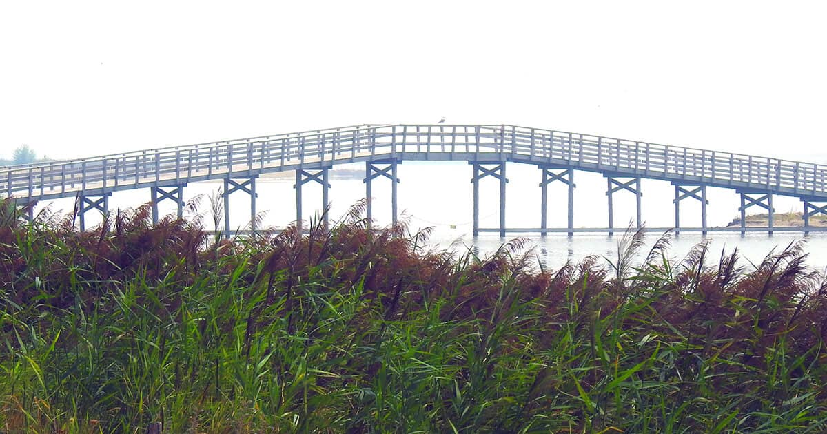 Vertrouwen en veiligheid