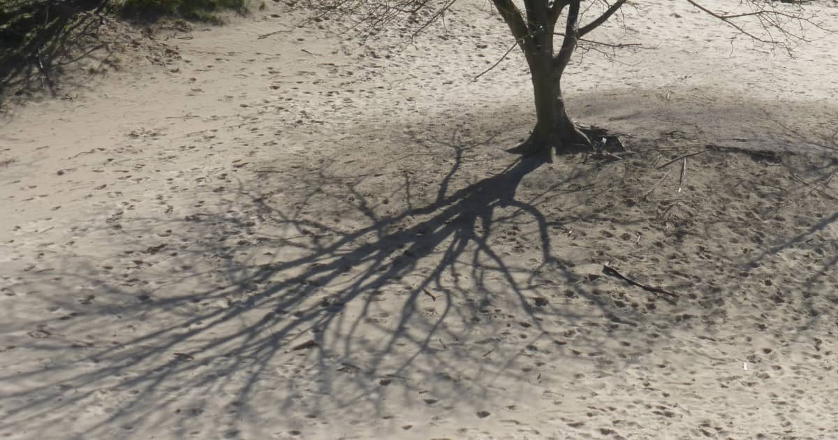 Zet je schaduw in het licht