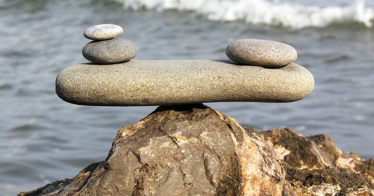 De wet van polariteit