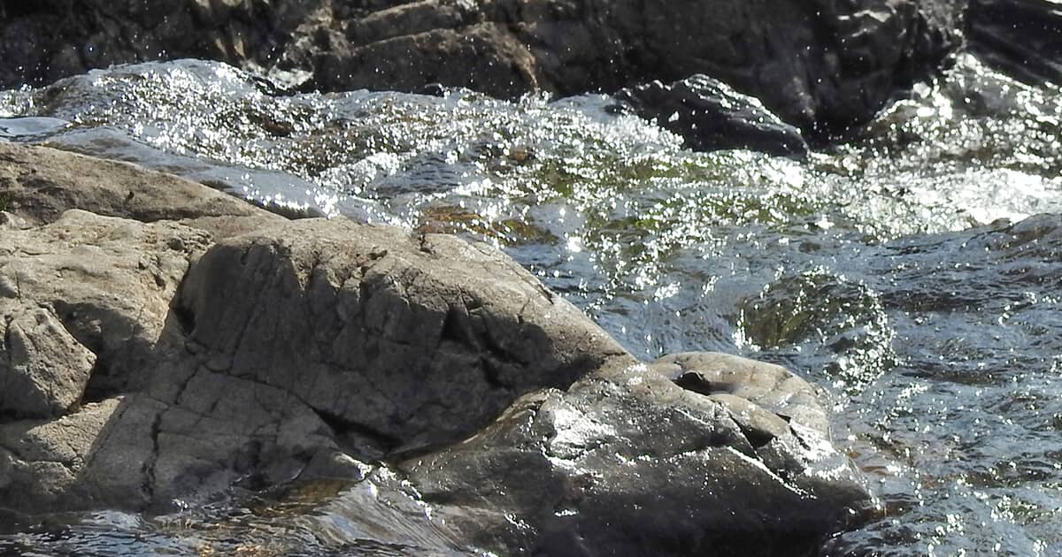 Loslaten of juist niet doen