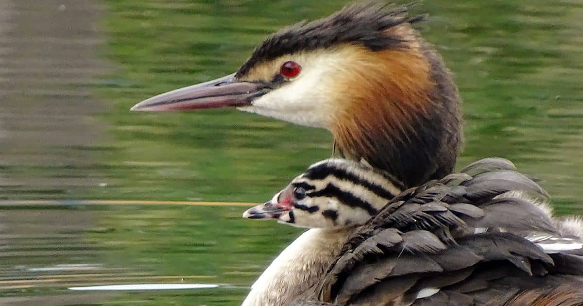 Woon jij nog in het huis van je ouders